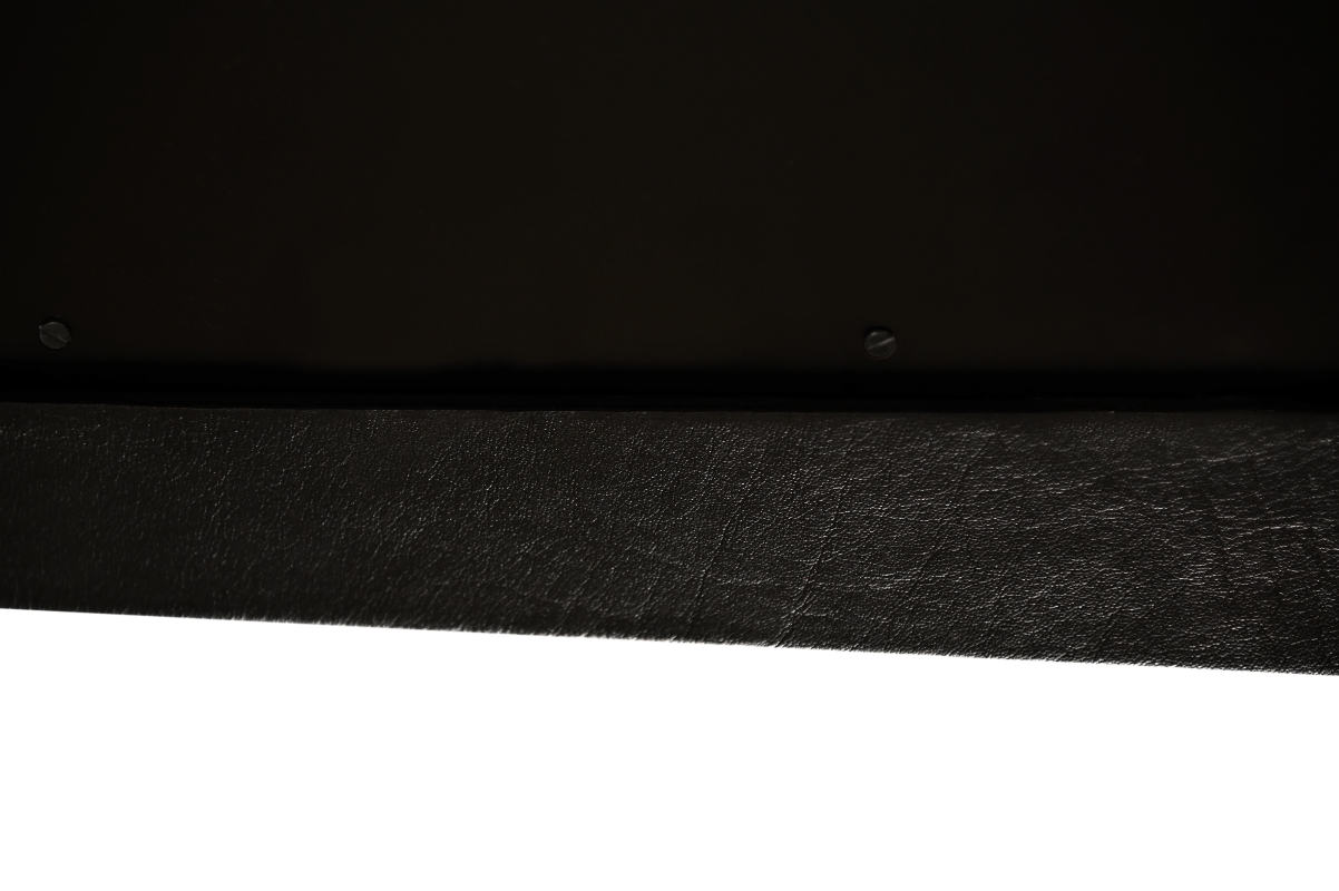 Glareshield Detail